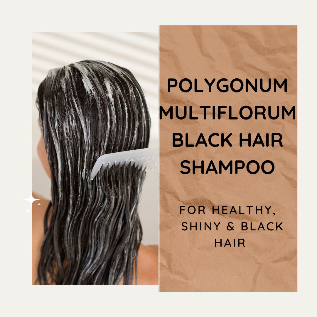 The Rise of Polygonum Multiflorum Black Hair Shampoo